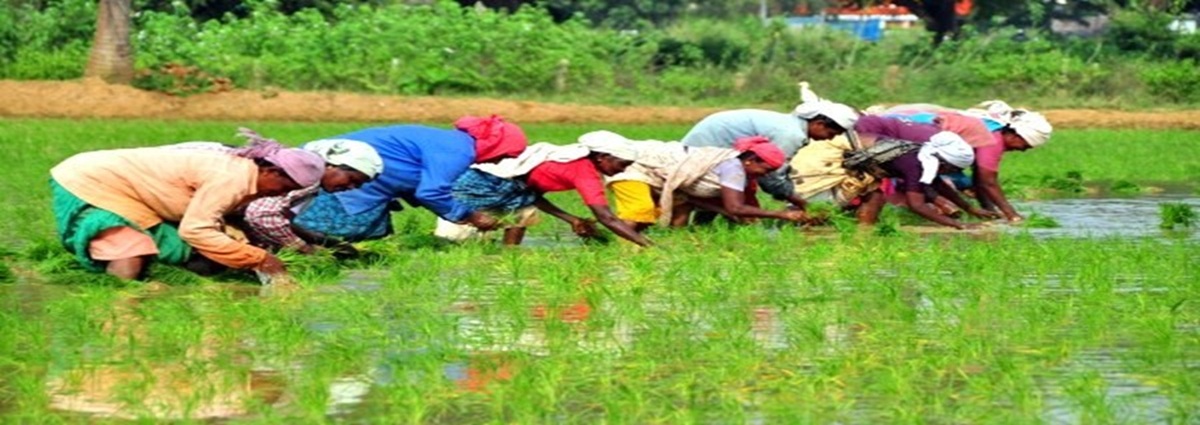 Agristack