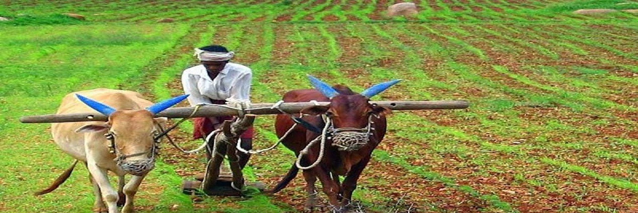 Krishi Image